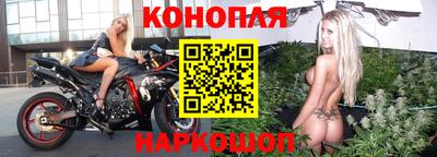 шишки Будённовск