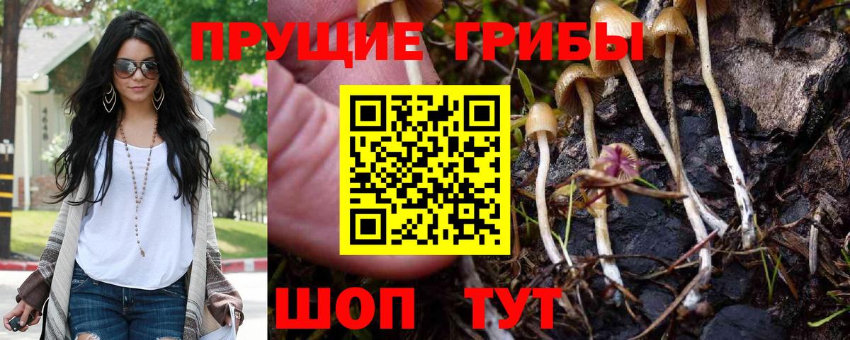 Псилоцибиновые грибы Magic Shrooms Петровск