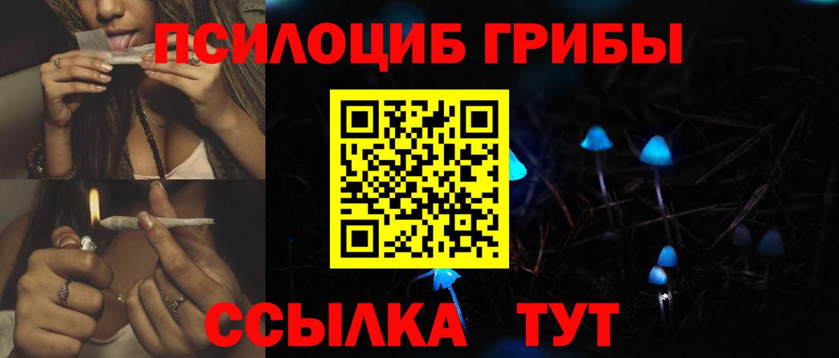 Петровск  где купить наркотик  Вход с VPN  Псилоцибиновые грибы Psilocybine cubensis 